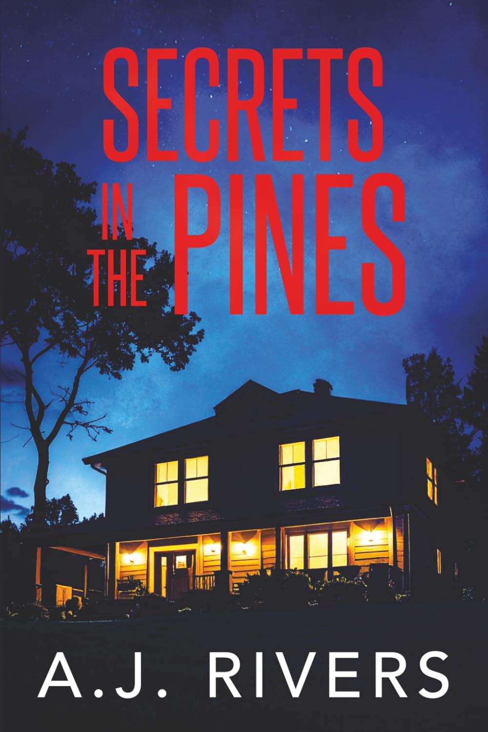 Secrets in the Pines: 8 (A Detective Riley Quinn Pine Brooke Mystery)
