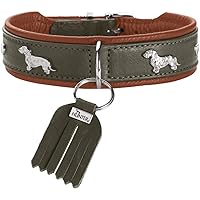 HUNTER Collare Teckel MÜNCHEN, colore: verde/cognac