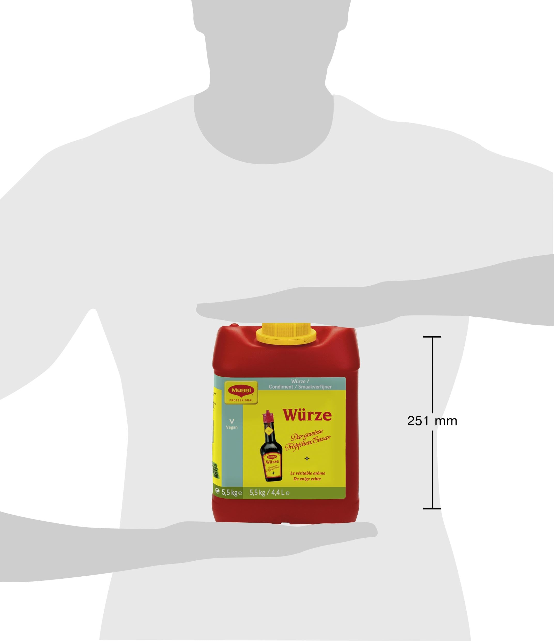 MAGGI Professional Würze, vegan, universell einsetzbar, 1er Pack (1 x 5,5kg Kanister)