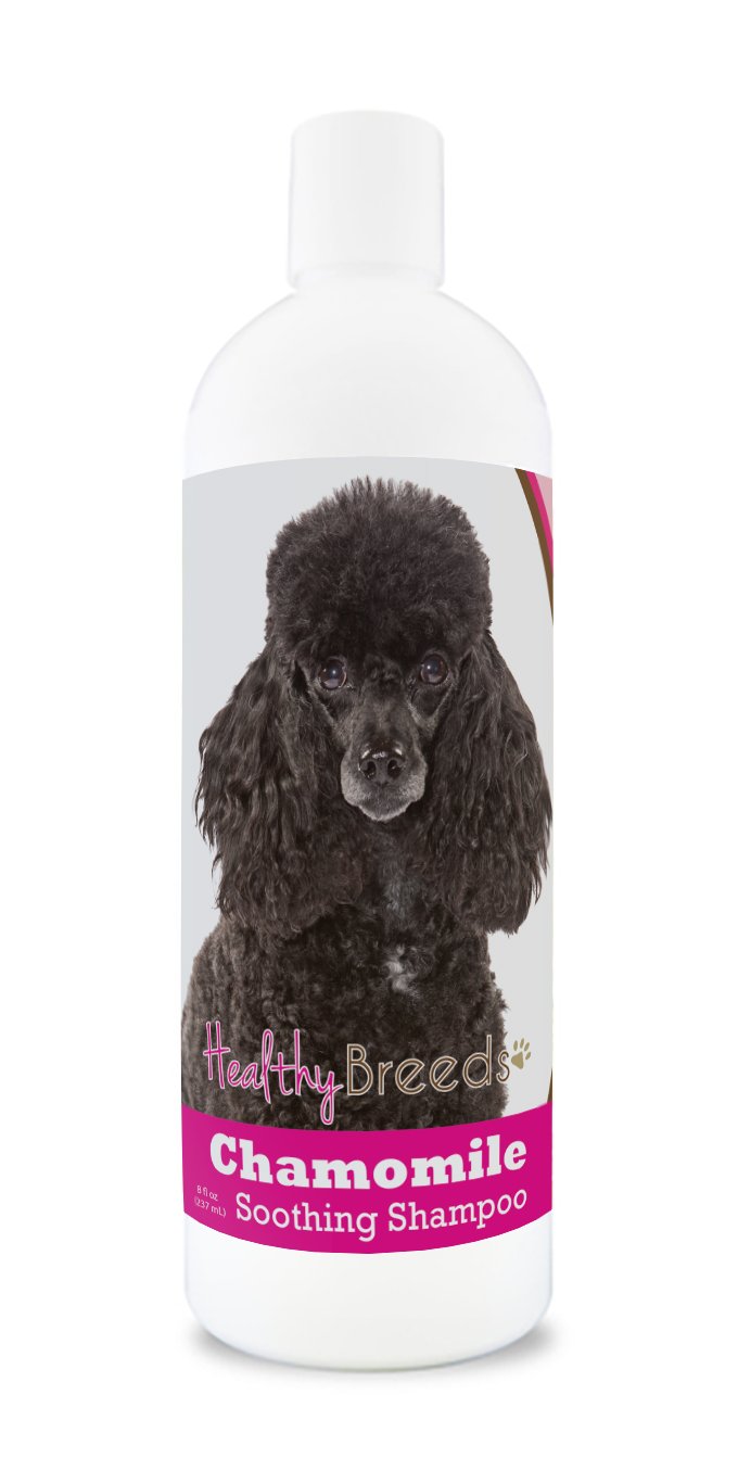 Healthy Breeds Yorkshire Terrier Chamomile Soothing Dog Shampoo 8 oz — view 23