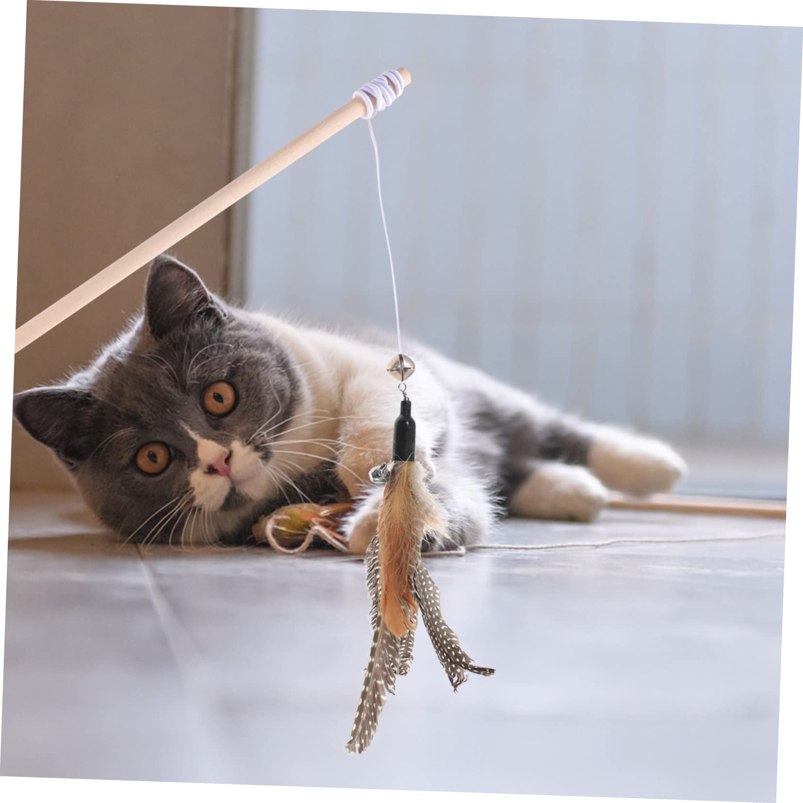 VANZACK Accessoires d'exercice 32 Pièces Recharge Chat Teaser Remplacements De De Taquineries De Chat Remplacement De La pour Chat Jouet La Plume Taquiner Le Chat des Sports