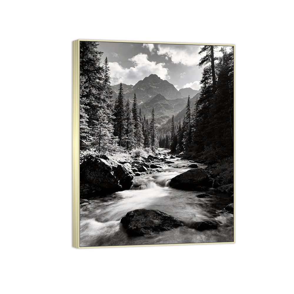 Forest River 2 Black White Landscape Canvas Picture 90x117cm Silver Frame
