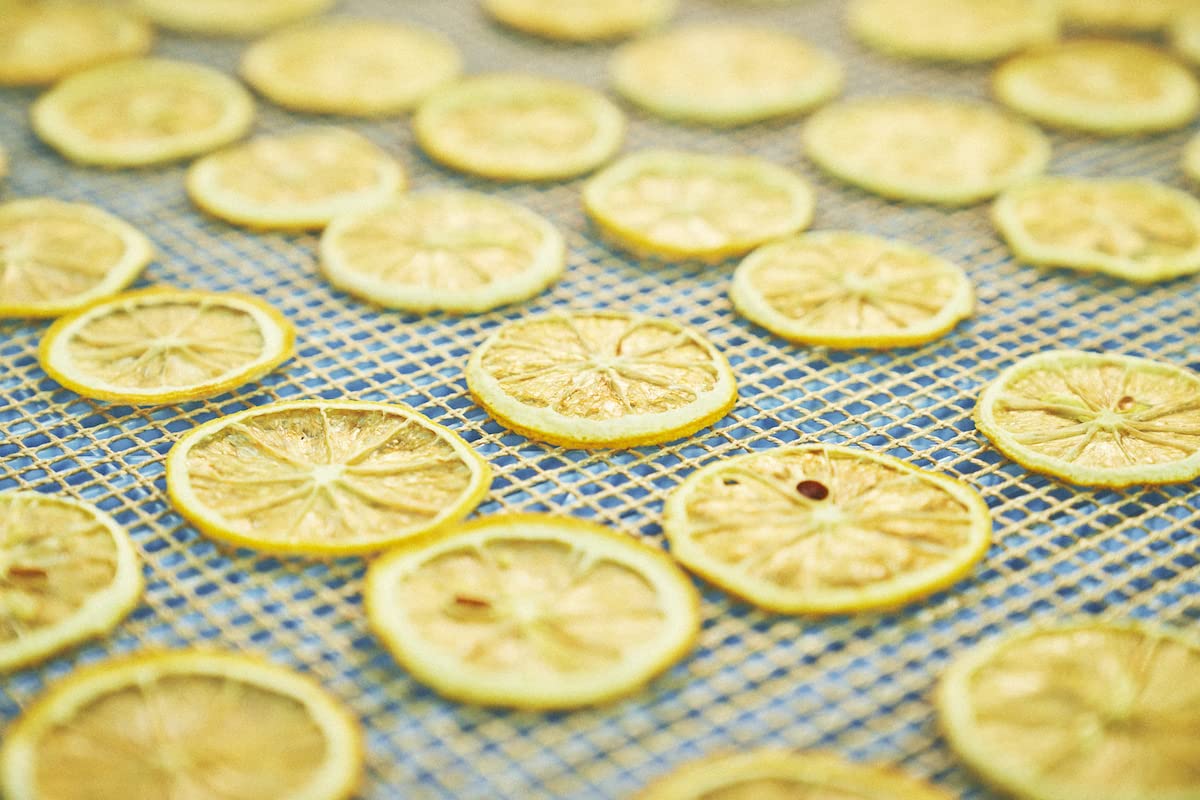 Amazon | 光浦醸造 フロートレモンティー 7袋入り | 光浦醸造 | 紅茶