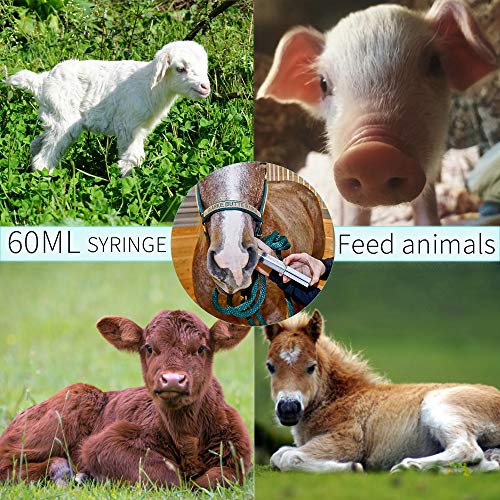 10 Pack 60Ml/Cc Plastic Syringe Large Syringes Tools Catheter Tip Individually Sealed With Measurement For Scientific Labs, Measuring Liquids, Feeding Pets, Medical Student, Oil Or Glue Applicator #TOP2