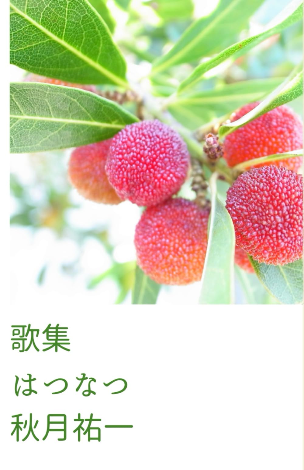歌集 はつなつ
