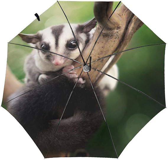 Amazon Co Jp かわいい動物 オポッサム 折りたたみ傘 自動開閉 頑丈な8本骨 メンズ 台風対応 梅雨対策 大きい 超撥水 おりたたみ傘 高強度グラスファイバー ビッグサイズ 晴雨兼用 収納ポーチ付き ファッション