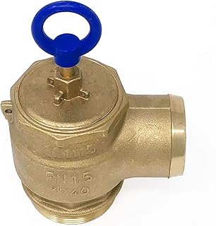 Brass Pressure Relief Valve, 300 CFM, 2