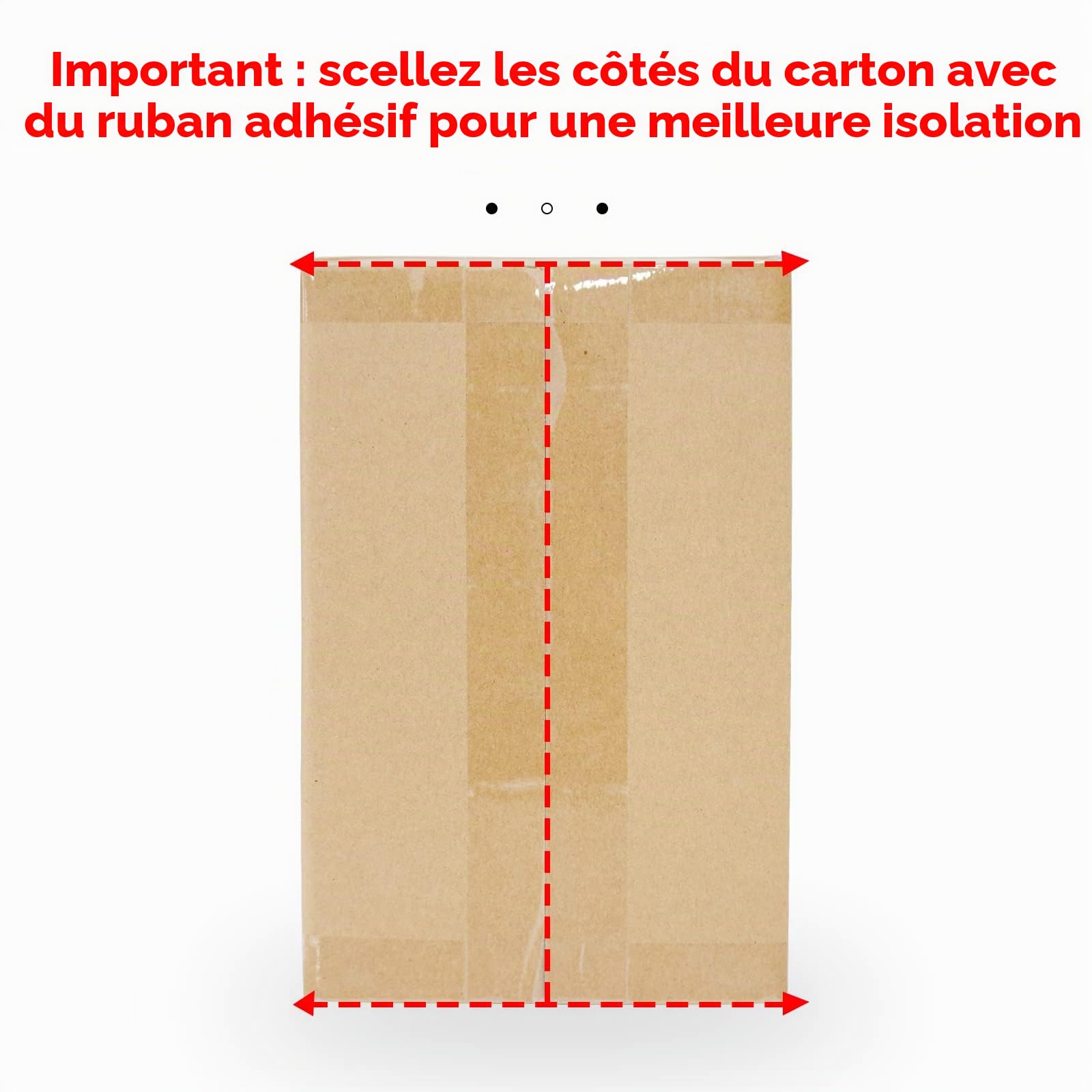 Thermo Chill Carton à double isolation avec doublure de sac isotherme en aluminium, boîte d'expédition réfrigérée pour aliments surgelés, envoi de colis, envoi postal 250x155x140 mm (2 pièces)