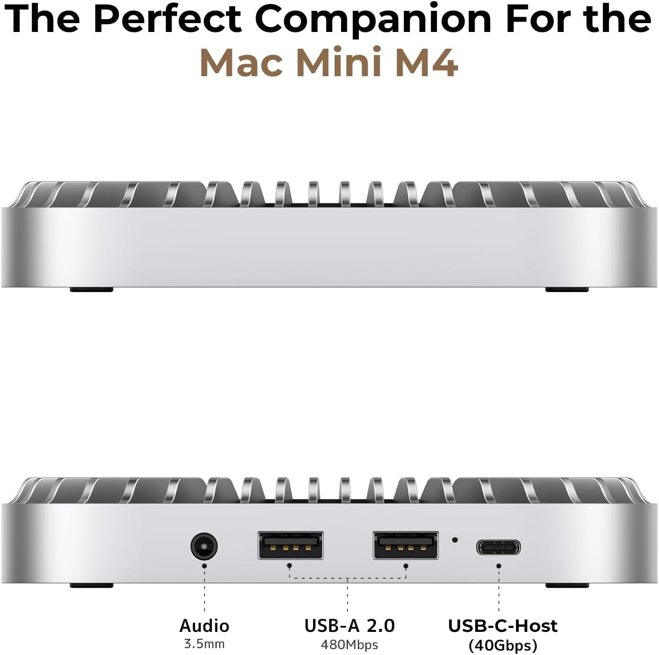 https://m.media-amazon.com/images/I/61WvDUi1CFL._AC_SL1500_.jpg