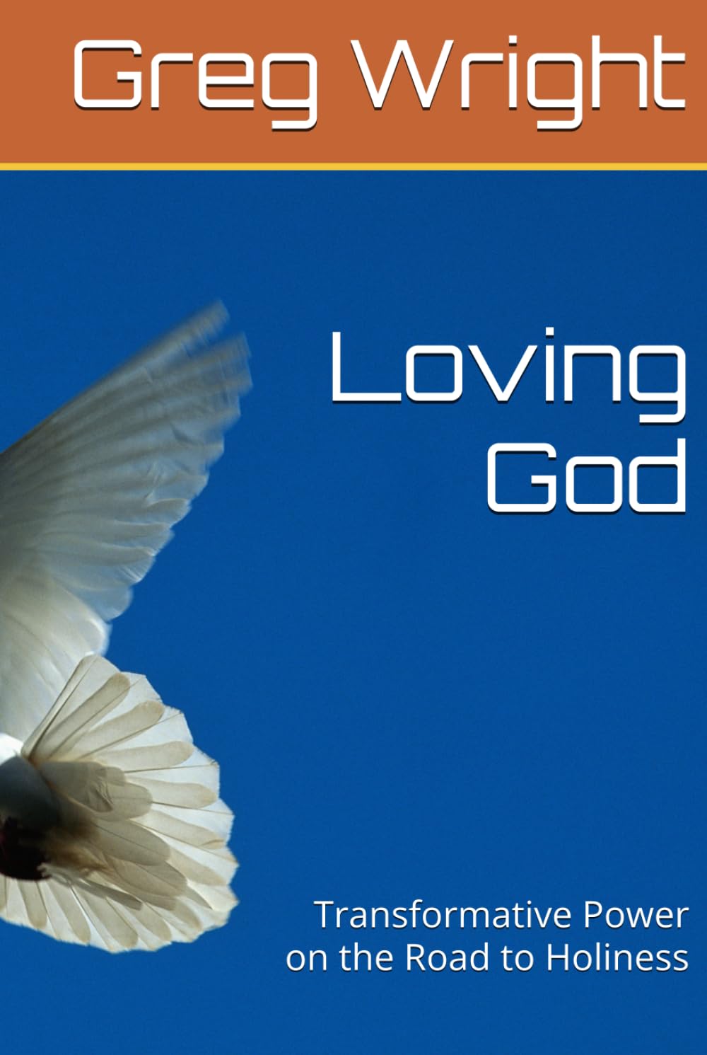 Loving God: Transformative Power on the Road to Holiness