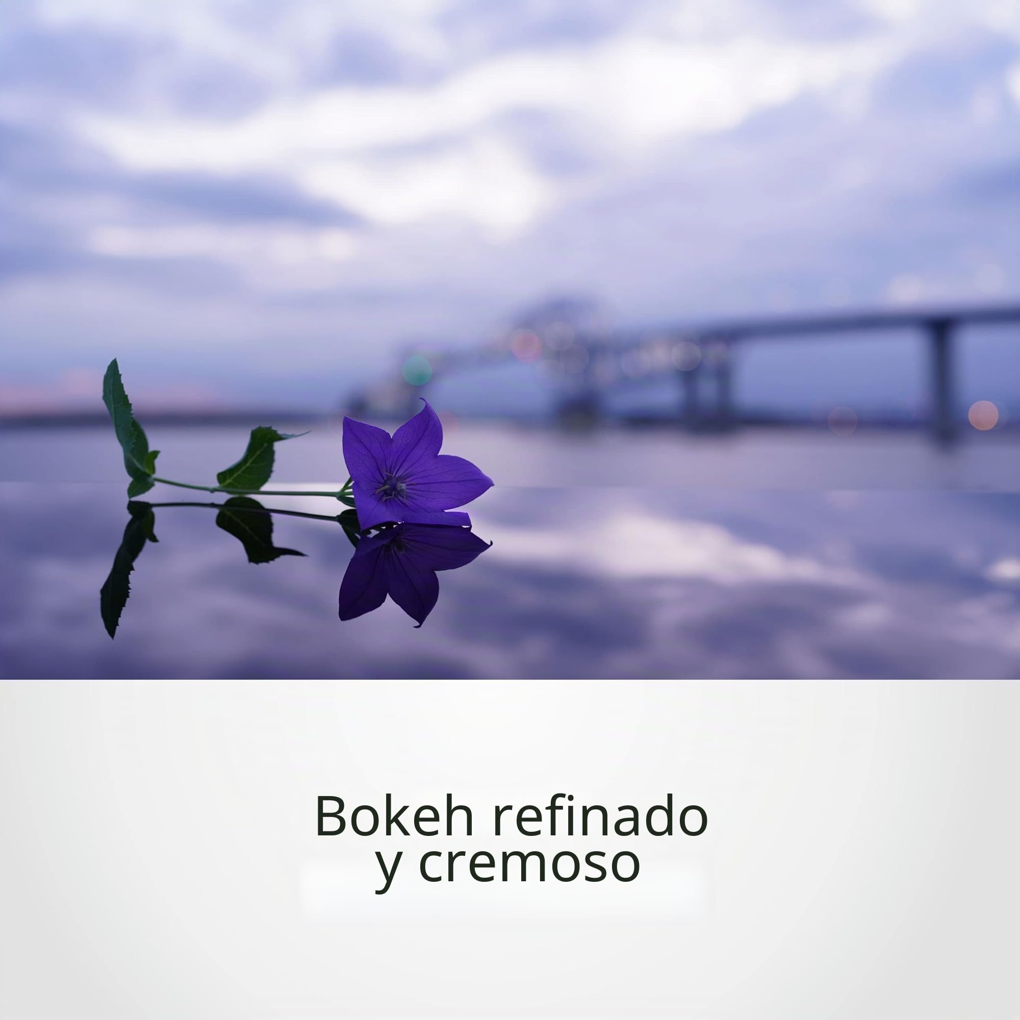 Sony SEL35F14GM - Objetivo Full-Frame FE 35mm F1.4 GM, Objetivo de Focal Fija zoom Serie G Master