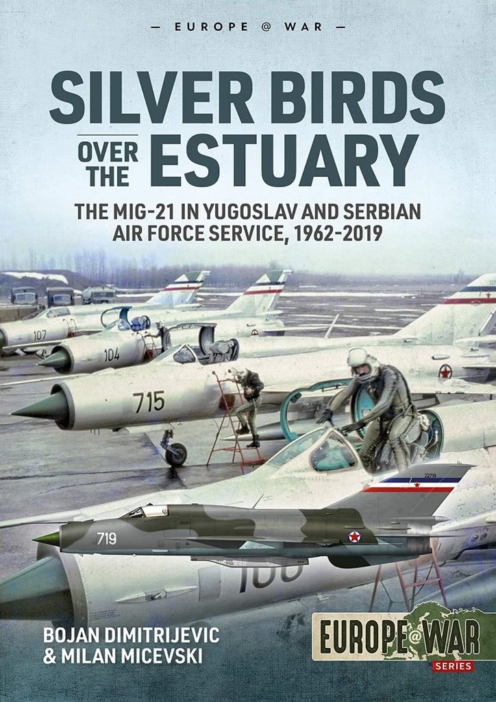 Silver Birds over the Estuary by Bojan Dimitrijevic (Paperback Book)