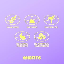 Misfits Vegan Protein Bars - Sweet Caramel Fudge | Nutrition Bars - 15g Protein, 1g Sugar, Plant-based, Low Carb, Non-GMO, Gluten Free Snacks | Pack of 12