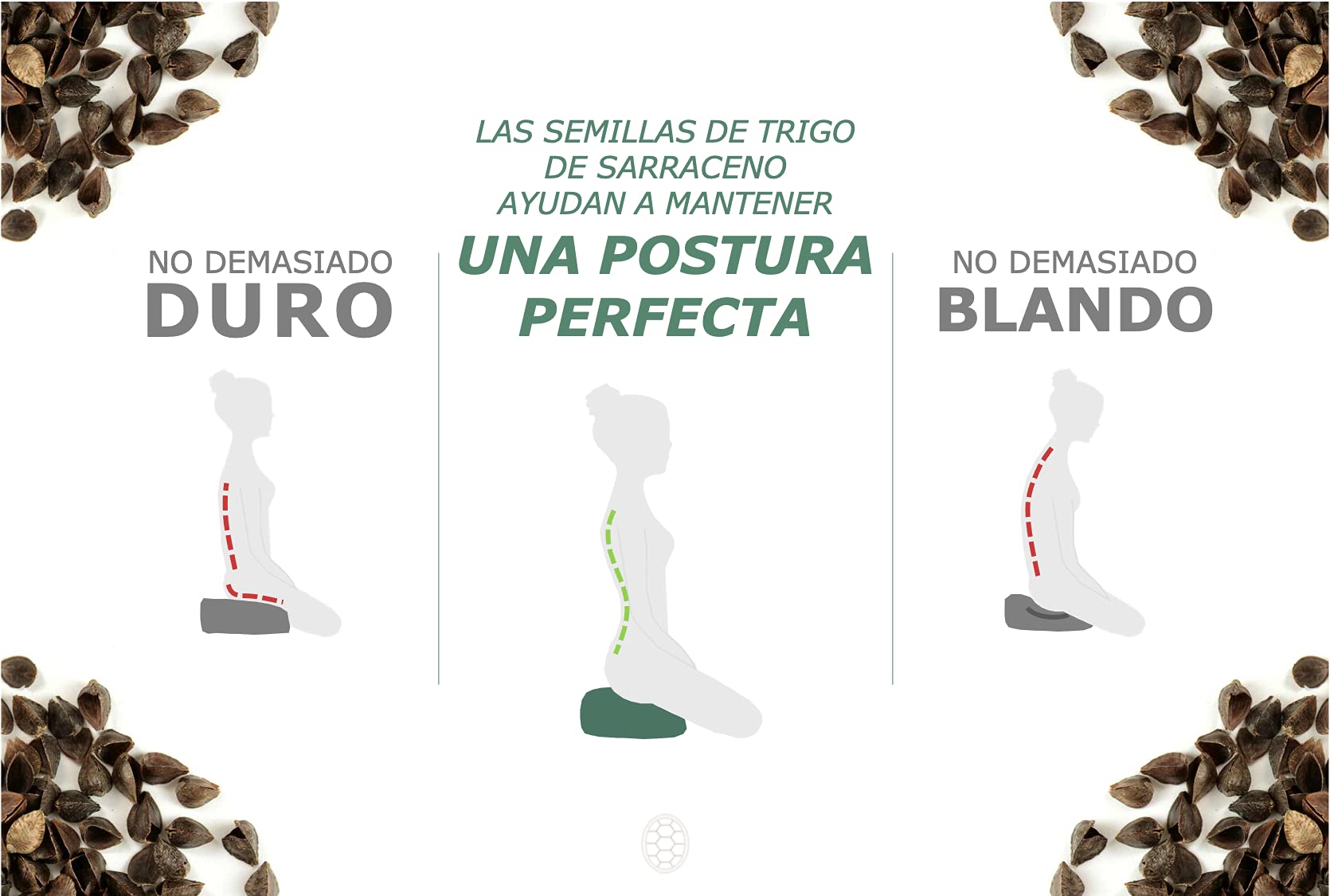 TORTUGA Meditation&Yoga - Cojín Zafu Relleno de Trigo sarraceno sostenible - Diseño con Cuerda -Altura 15cm- Funda algodón 100% Natural fácil Lavado -Meditación/Yoga