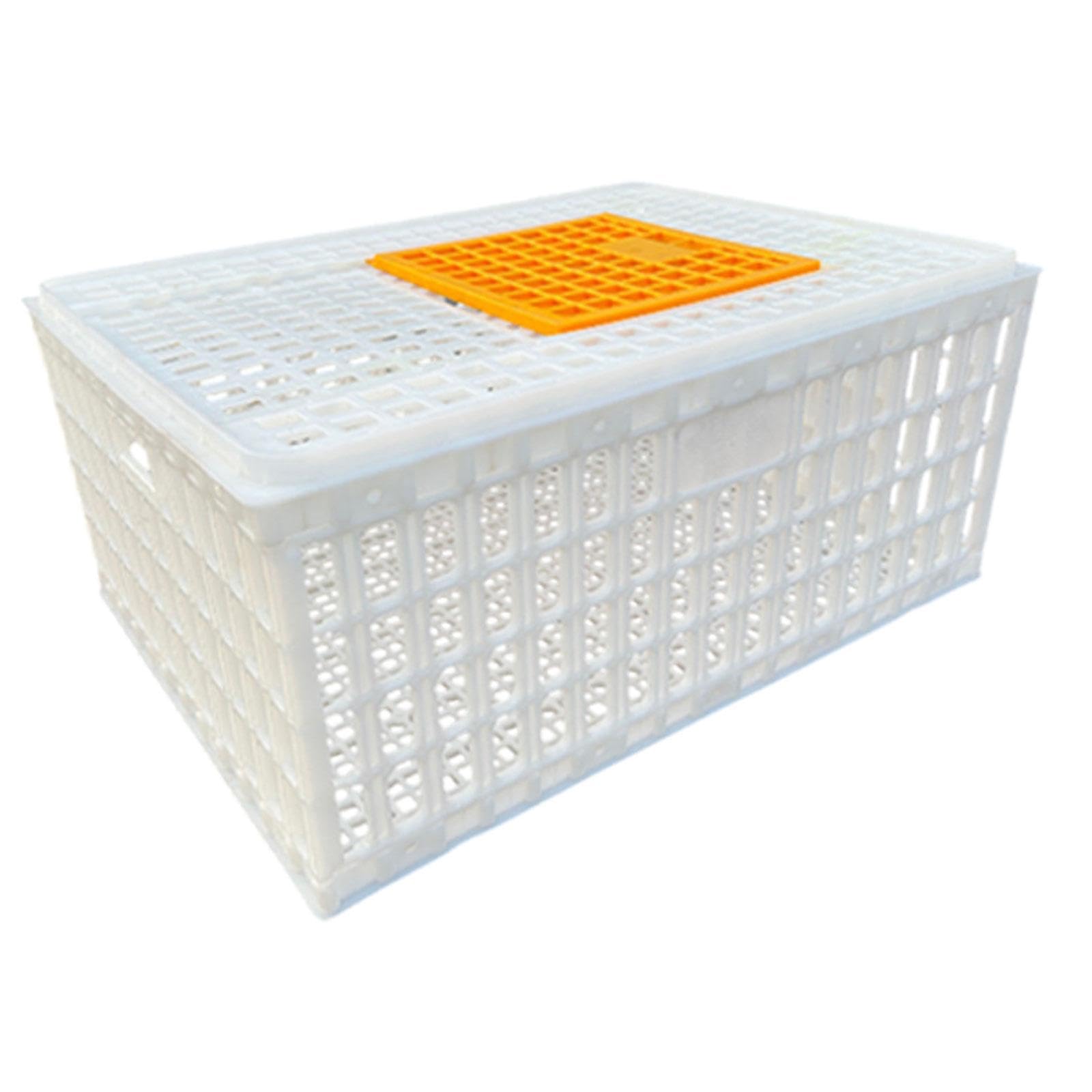 Jaula Transportadora de Aves de Corral, Blanco Altura 33cm