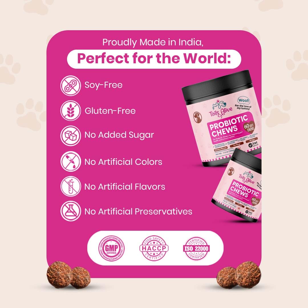 Probiotic Soft Chews Supplement for Dogs | Six Probiotic Strains for Gut Health & Digestion | Chicken Flavor | Supports Immune Function | 60 Soft Chews — Amazon image 6