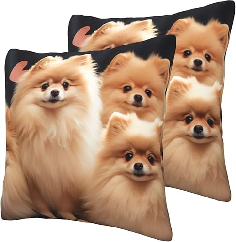 Miniatura 3 de GFLFMXZW Fundas de almohada con estampado de cachorros de Pomeranians de 16 x 16 pulgadas, funda de cojín suave y acogedora funda de almohada