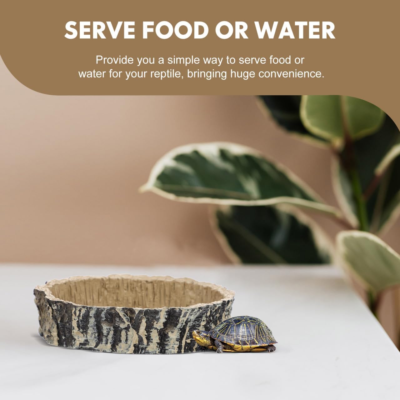 PRETYZOOM Reptile Water Dish and Tortoise Feeder Bowl with Bark Texture, Sturdy Terrarium Food Container for Lizards, Geckos, Frogs, and Turtles, Suitable for Habitat Accessories