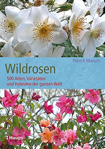 Wildrosen: 500 Arten, Varietäten und Hybriden der ganzen Welt Wildrosen: 500 Arten, Varietäten und Hybriden der ganzen Welt
