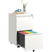 2 Drawer Mobile File Cabinet with Lock,Rolling Metal Office Storage Filing Cabinet Under Desk for Home Office,Legal/Letter/A4, Fully Assembled,White