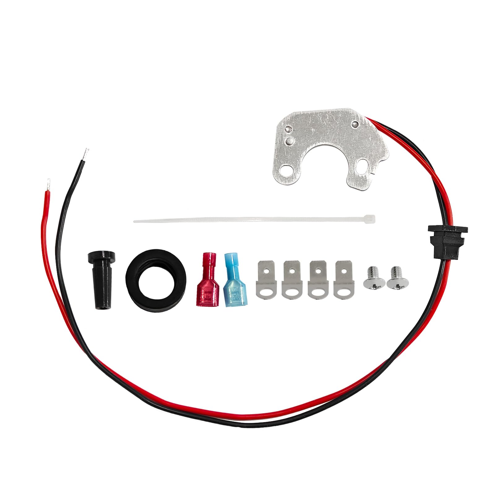 1641 Ignitor Electronic Ignition Conversion Kit