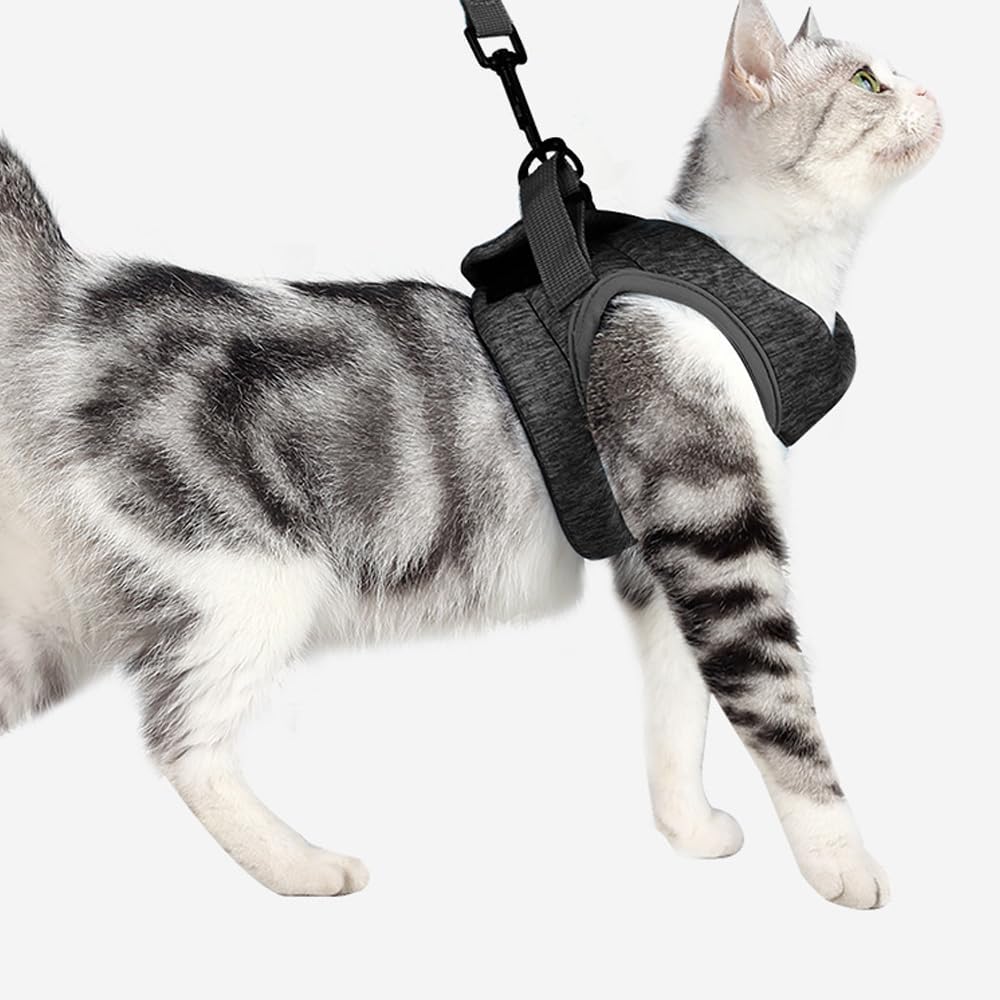 Pettorina Gatto Traspirante Antifuga Chiusura Velcro Regolabile