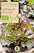 Produktbild Samen Maier 892 Kopfsalat Wintermarie (Bio-Salatsamen)