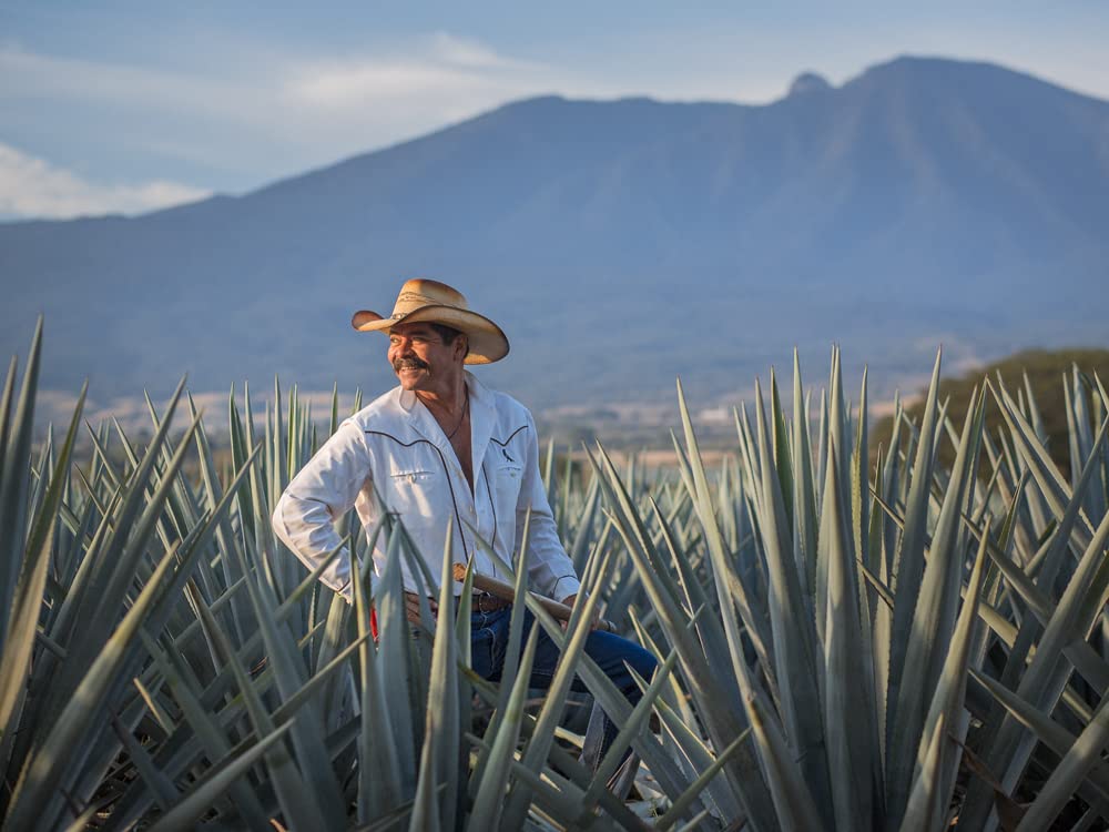 Jose Cuervo Tradicional Silver 70cl - Tequila 100% blue agave, non invecchiato. 40% vol.