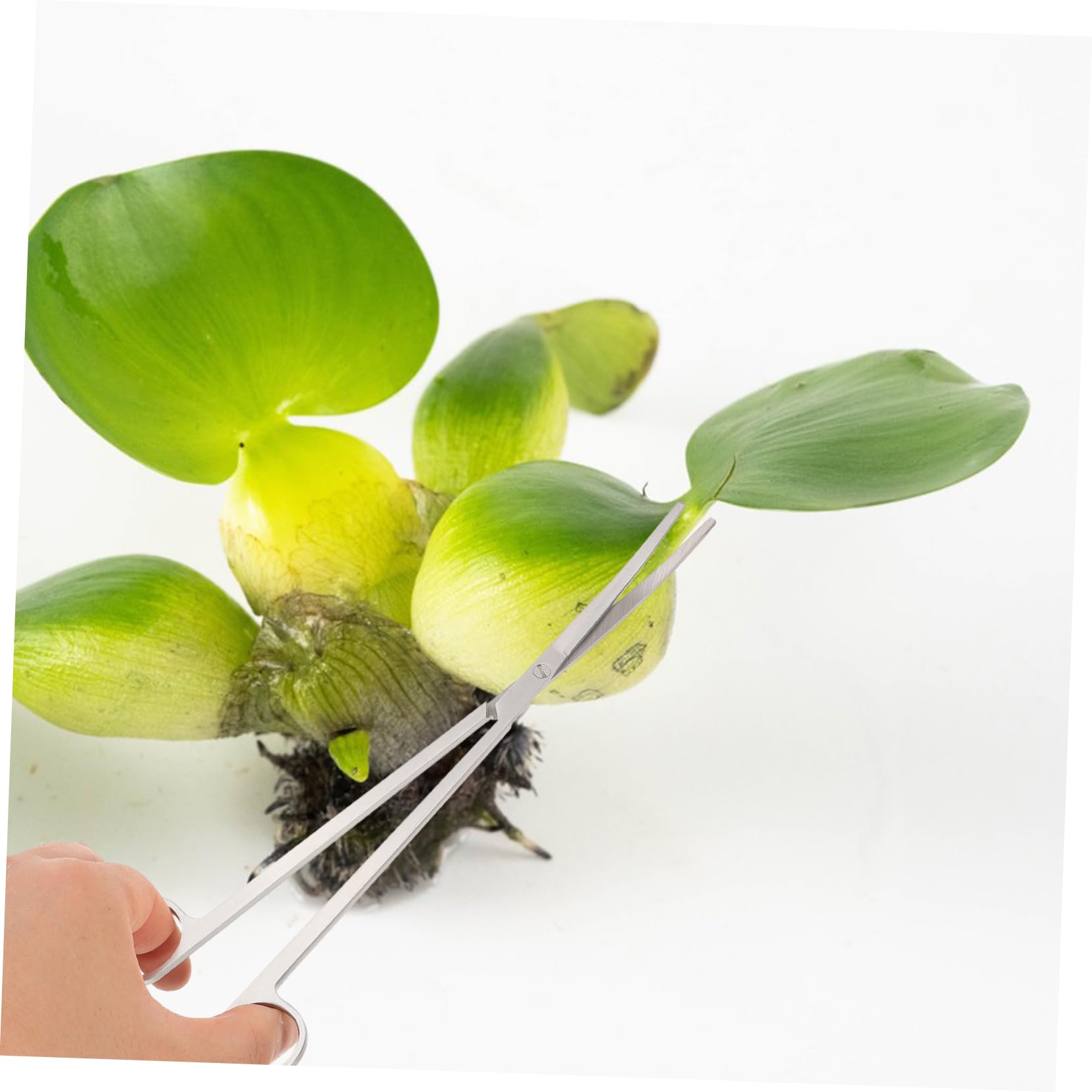 VANZACK 4 Sätze Aquarium Werkzeugset für Pflanzenpflege Teiliges Edelstahlset mit Gebogenen Scheren und Pinzetten für Aquarienpflege und Ergonomische für Komfortable Handhabung
