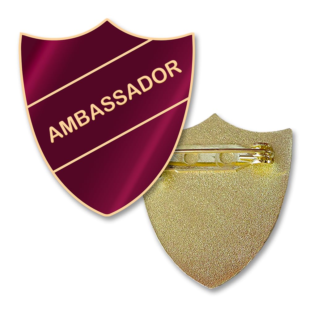 Pin de escudo de embajador, esmalte y latón, fijación de pin de seguridad, tamaño 30 mm, elección de colores.