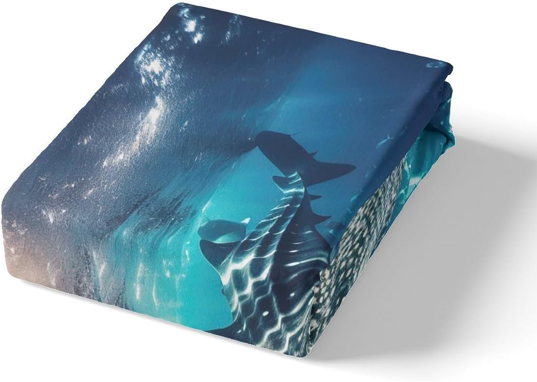 Feelyou Shark Duvet Cover Whale Shark Bedding Set Ocean Marine Theme Comforter Cover for Boys Girls Kids Room Decor Sea Underwater World Bedspread Twin Size with 1 Pillow Case (No Comforter)