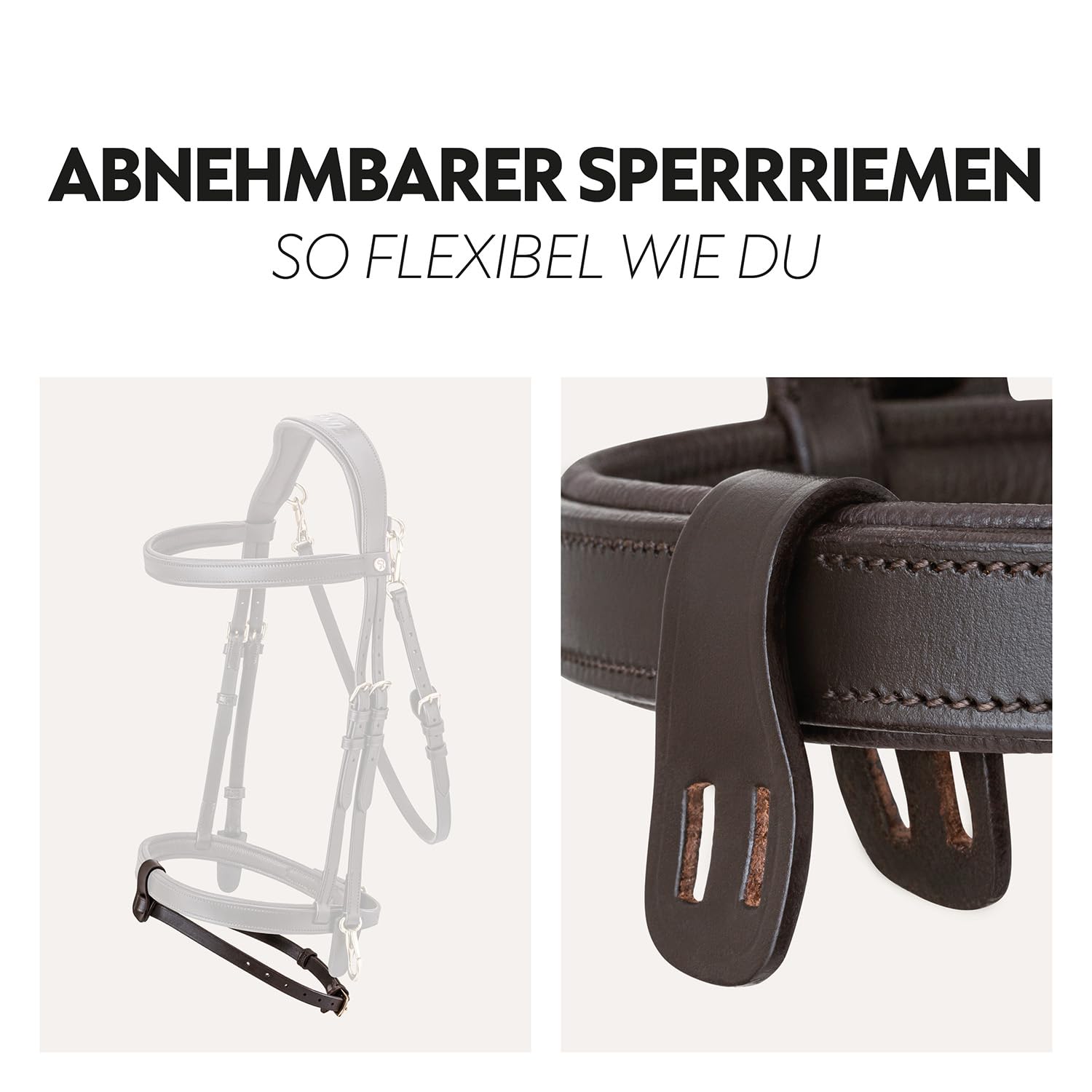 SUNRIDE Brida combinada Inglesa para Caballos (Berlín) – con riendas – Cuero auténtico Suave – Acolchado Extra – anatómica, Ajustable – Click&Ride – Hecha a Mano – Inoxidable(COB, marrón)