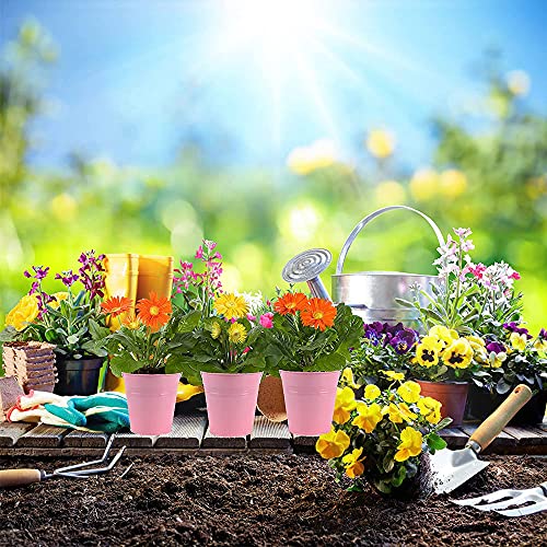 12 Pezzi Mini Secchi in Metallo per Vasi Fiori