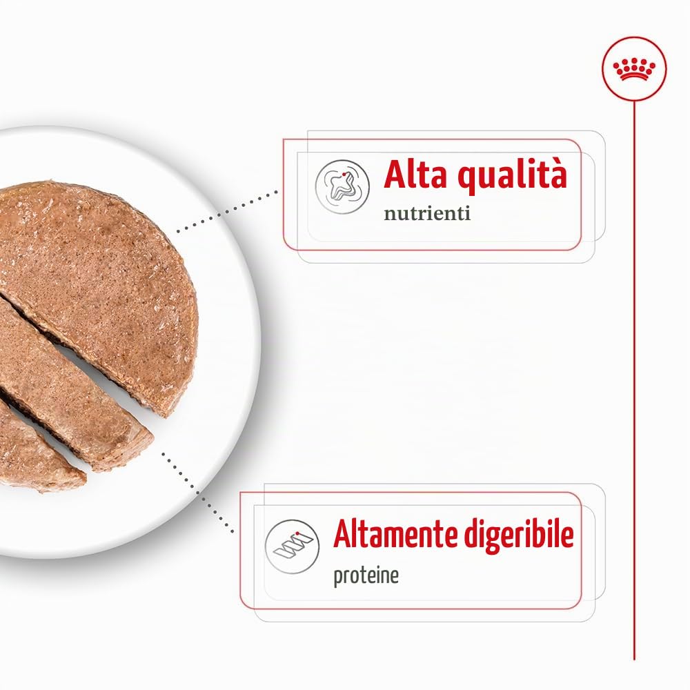 Royal Canin Maxi Adult | 12 x 410 g | Alimento completo per cani grandi adulti (26-44 kg) | Cibo umido ricco di nutrienti ed equilibrato con proteine altamente digeribili