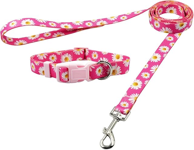 Olahibi Basic Dog Collar Leash Set,Durable Polyester Collar and 5ft Matching Lead for Small Dogs.(S, Daisy Set)