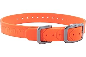 Heavy Duty Carhartt Dog Collar, Hunter Orange, One Size