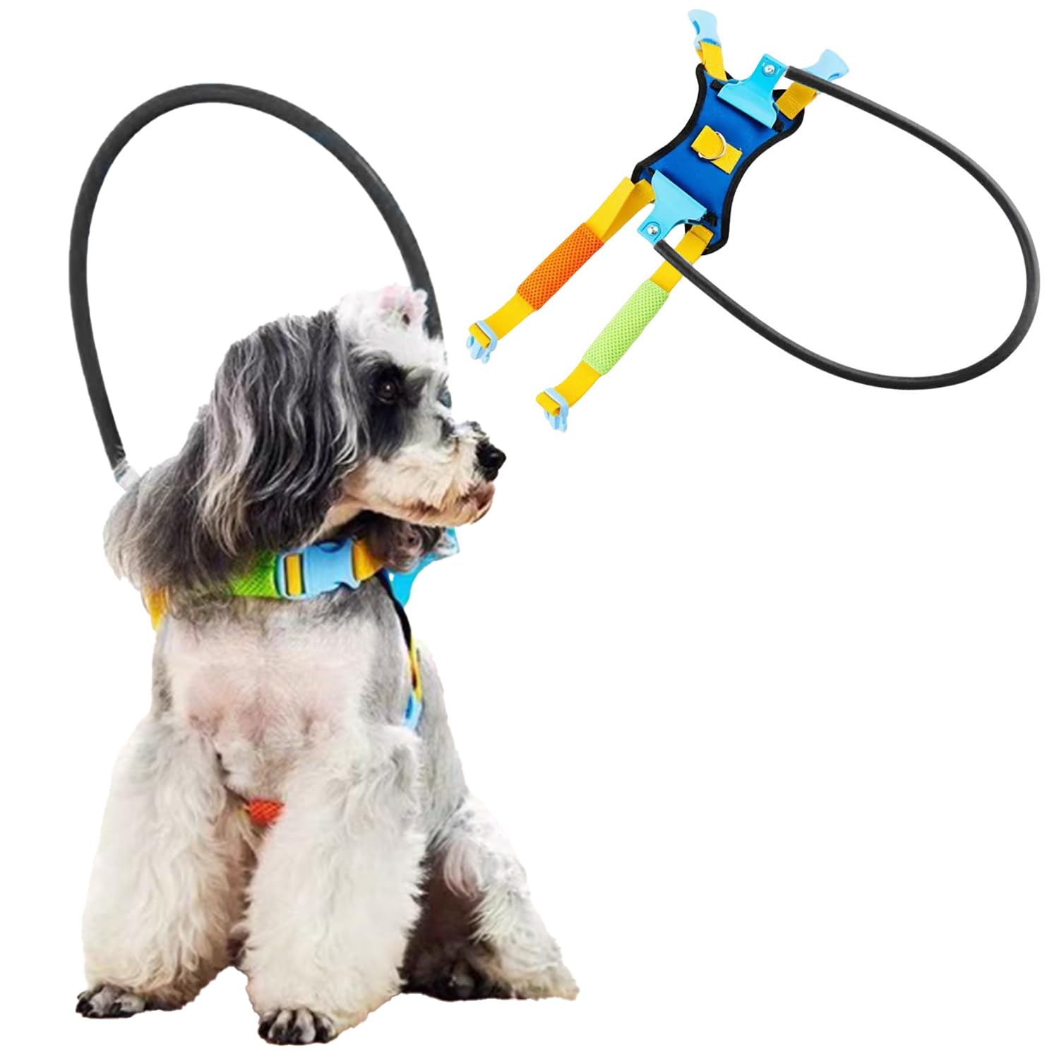 StoßFäNgerhalsband FüR Blinde Hunde,Verstellbares Antikollisionsschutzhalsband Haustiere,Um Das Vertrauen Sehbehinderter Haustiere Kleine Und MittelgroßE Hunde Aufzubauen(XS,Black)