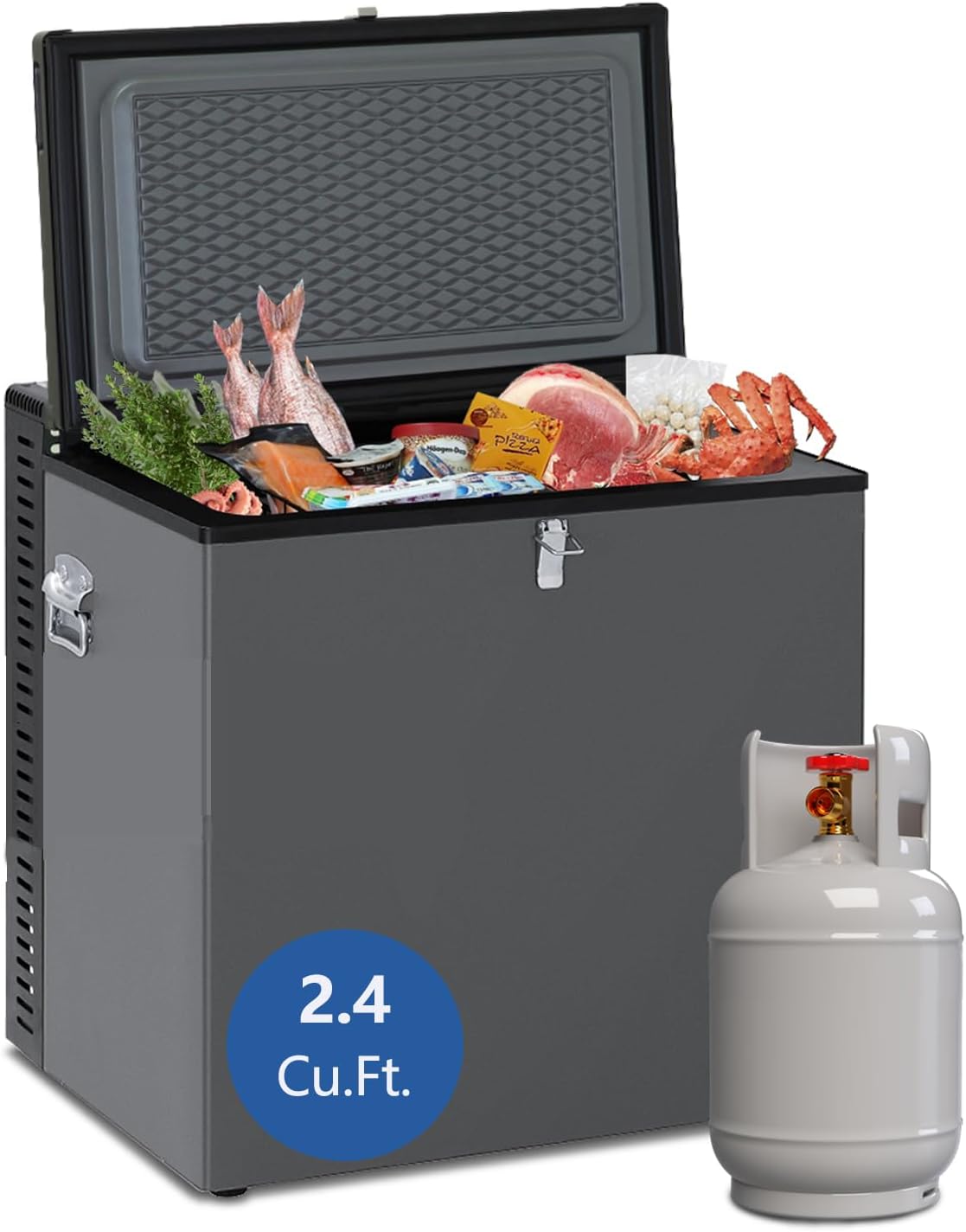 Techomey 2.4 Cu.Ft Portable Propane Freezer/Fridge, 110V