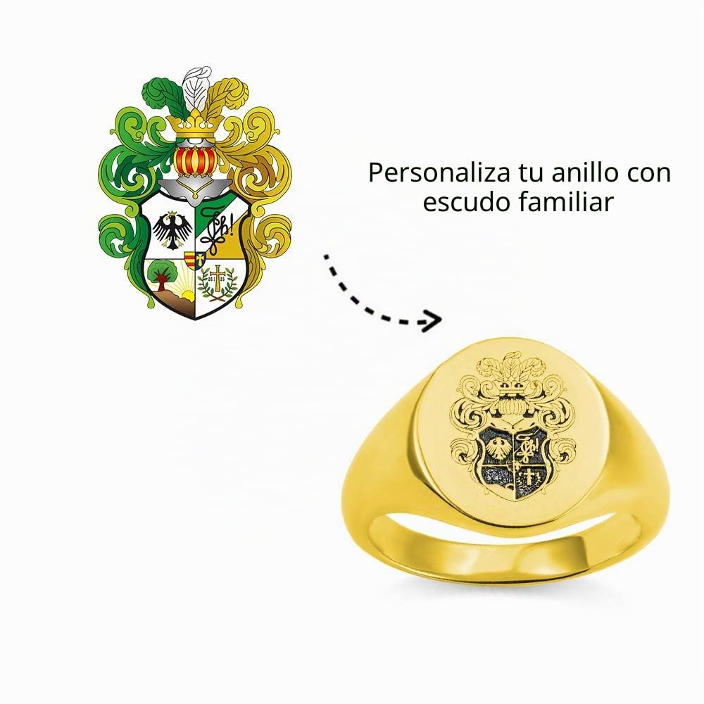 Anillo personalizado con el escudo de armas de la escuela o el escudo familiar para hombres y mujeres, plata de ley 925, imagen, texto y nombre personalizados, anillos de meñique para padres graduados