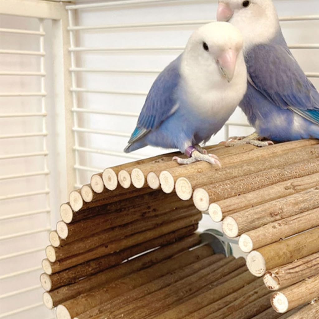 Nido de pájaros para decoración de pared, de madera, para exteriores, casa de pájaros