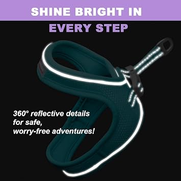Cat Harness and Leash Set for Kittens & Cats, Adjustable Soft Mesh Harness, Lightweight Reflective Vest with Secure Fit, Easy Step-in Design for Walking, Travel & Outdoor Use(Ocean Blue,S)