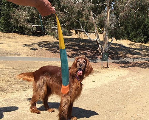 Foxtail Fetch Ball For Dogs - Easy To Throw Dog Fetch Toy By Cassidy Labs #TOP1