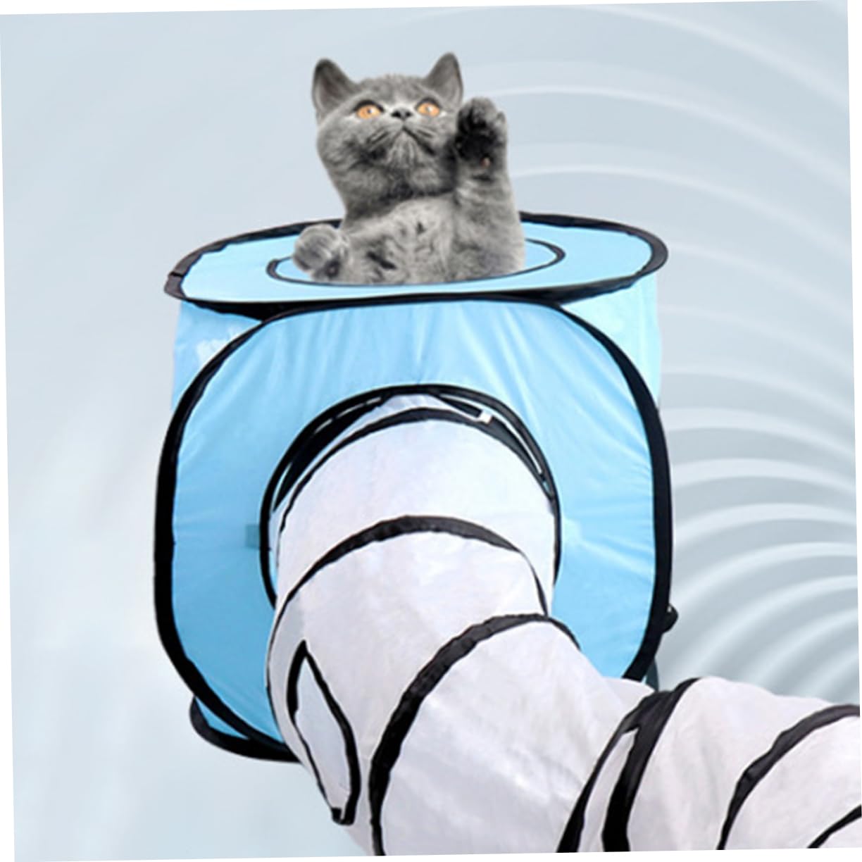 Toddmomy Tunnel De Jeu Pliable pour Chats Jouet Interactif Forme De s pour Intérieur Et Extérieur Couleur Bleue