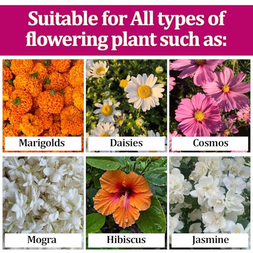 Image of Garden Genie Flower Booster Fertilizer for Flowering Plants, 830g | Organic Fertilizer for Flower Plants Home Garden | Essential Flowering Fertilizer Powder