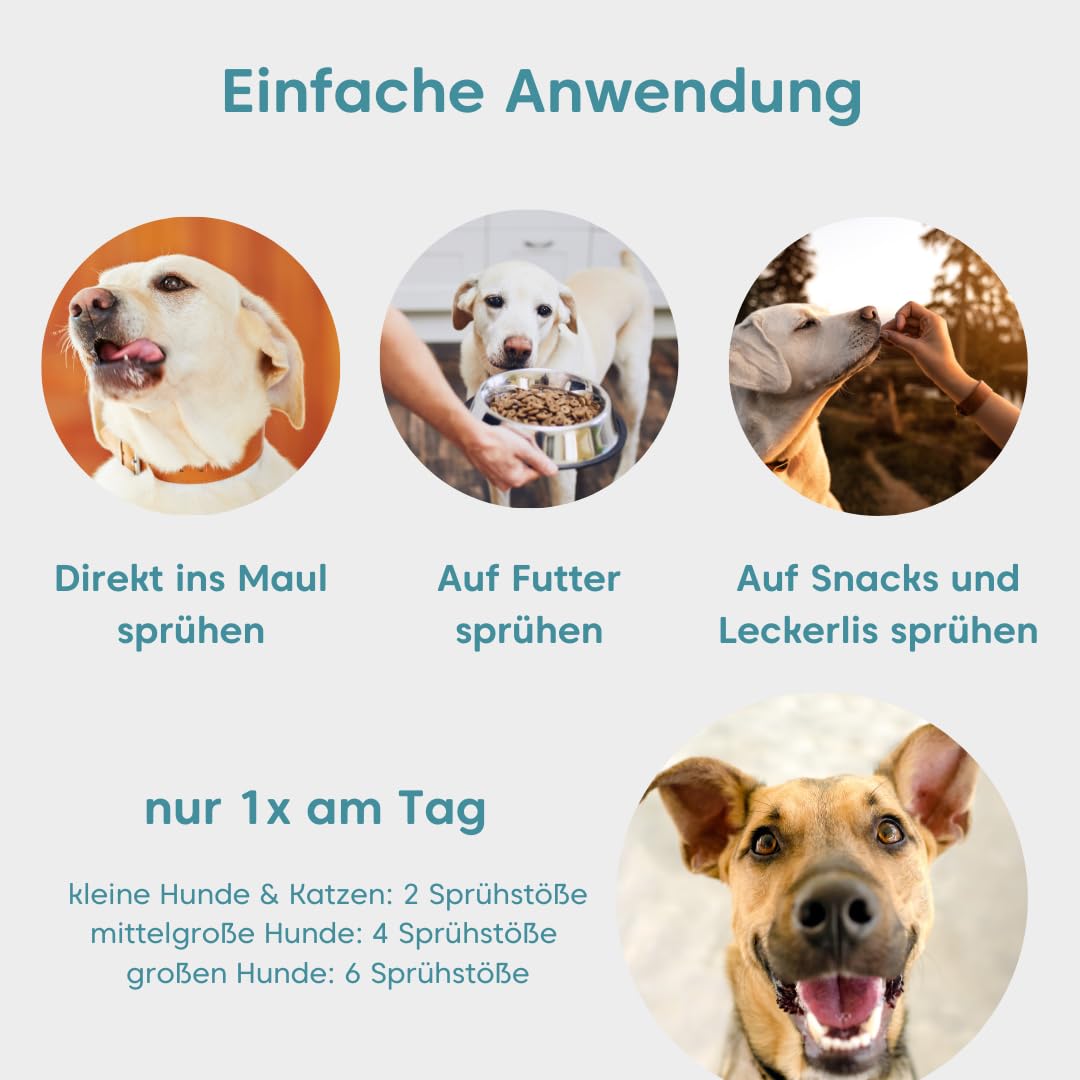 Dentalfee - Dentalspray/Zahnpflege Spray für Hunde & Katzen - Entfernt Zahnstein & Zahnbelag - 100% natürlich - 50 fermentierte Kräuter - frischer Atem - 100ml - Reicht bis 9 Monate…