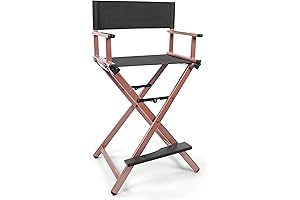 Professional Portable Barber Chair