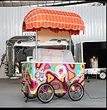 Mini ice Cream Truck with Refrigerator Freezer Food Truck for Small Business, Ice Cream cart