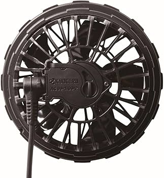 61WwVQylLpL._AC_UF350,