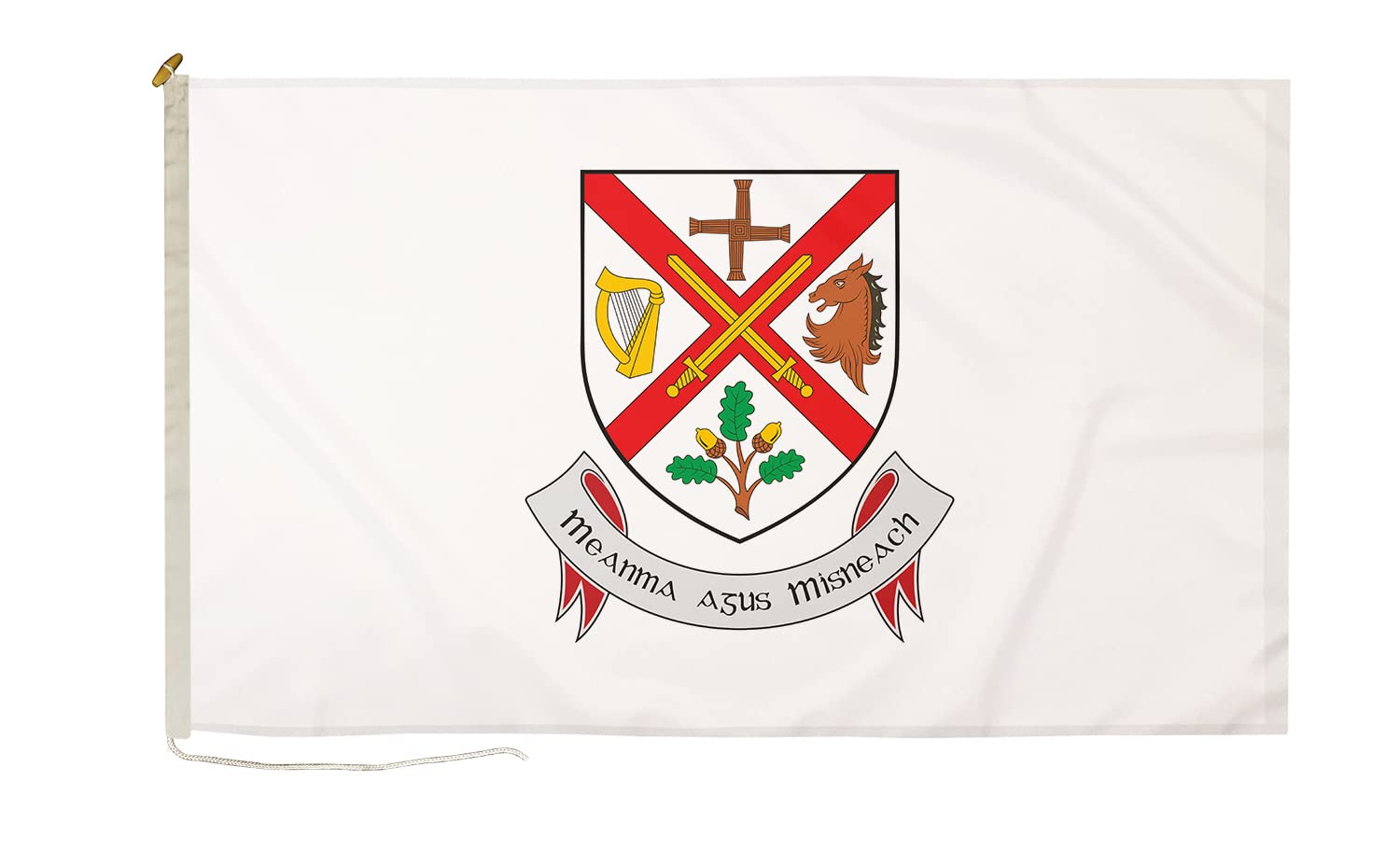 DuraFlag Kildare Small Courtesy 20x12" Rope and Toggled Premium Quality 50x30cm Flag โ image 1