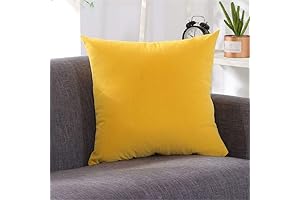 Younar Two-Pack Velvet Decorative Throw Pillows